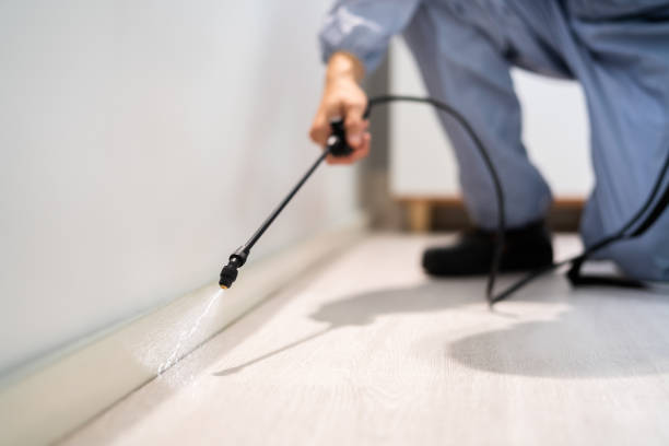 Licensed Fumigation Services service in Upton County County, TX - Nex Pest Control